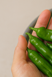 꽈리고추 멸치볶음