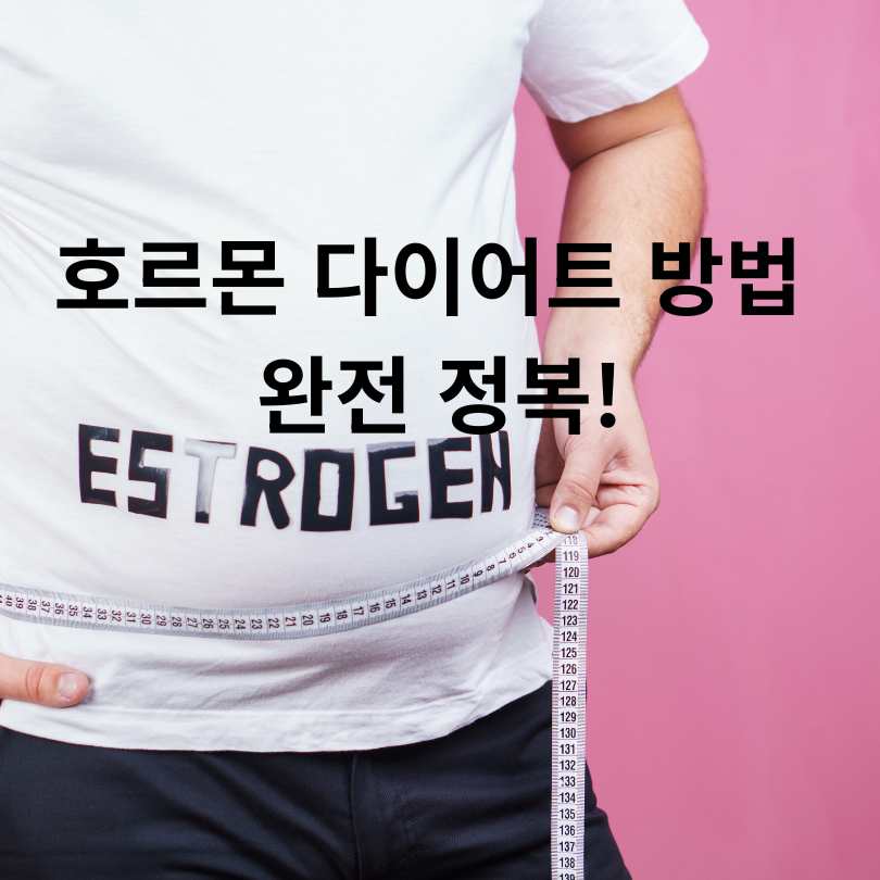 호르몬 다이어트 방법 완전 정복!