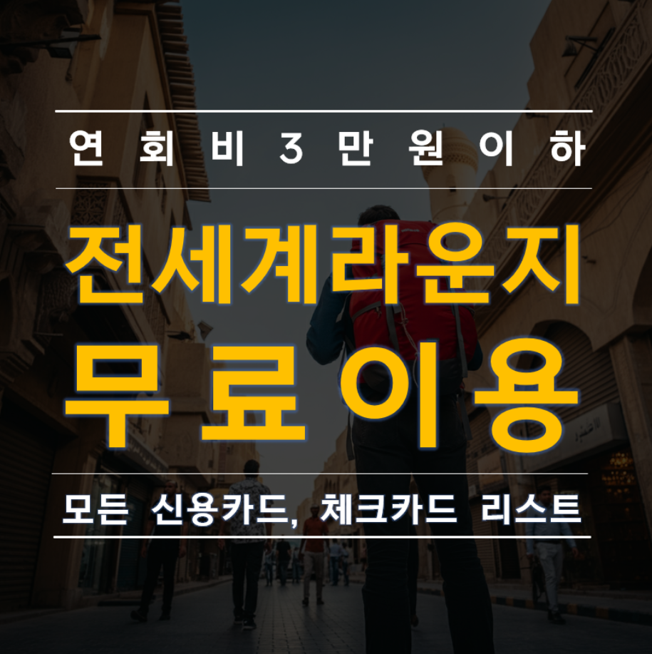 연회비 3만원 이하 전세계 라운지 무료 이용 가능한 카드 리스트