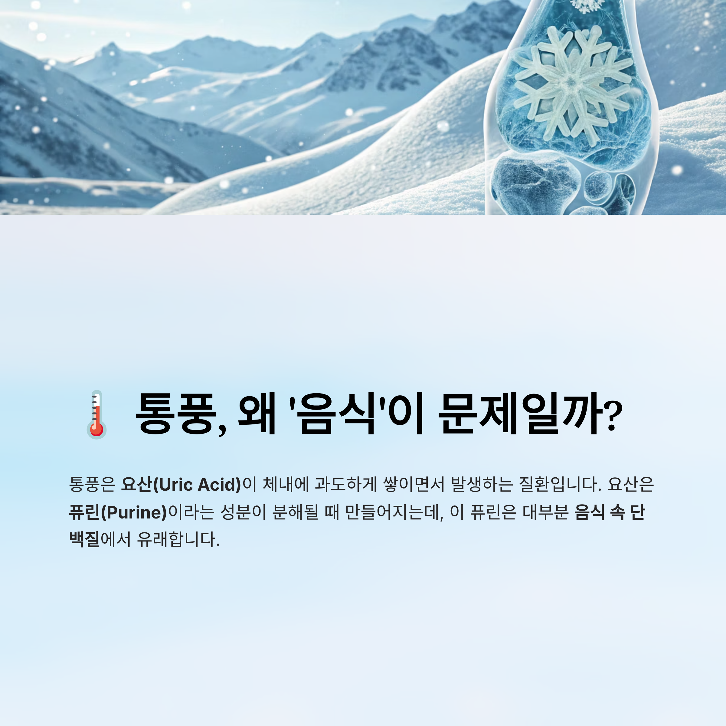 통풍에 해로운 음식 알아보기