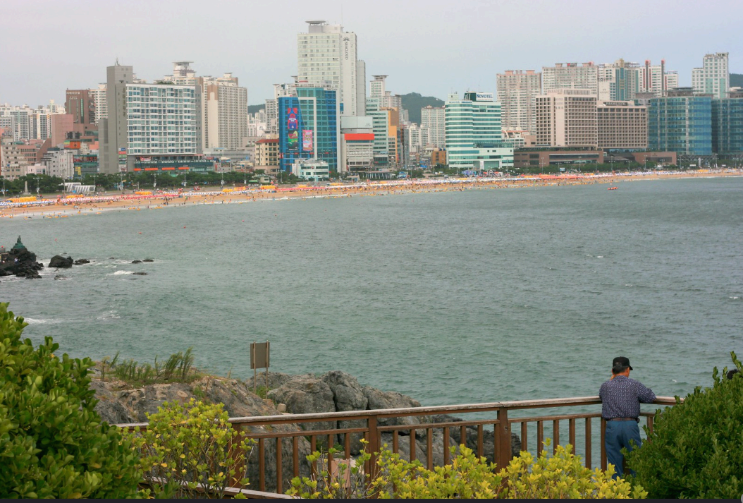 Modern Building Essay