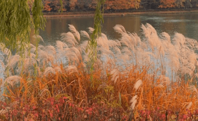 서울근교 단풍 명소 추천