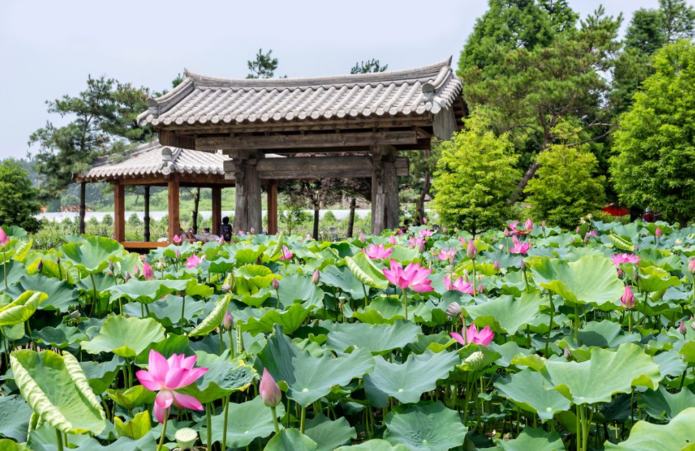 청산수목원 연원