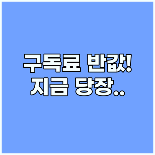 유튜브 프리미엄 스트림플레이션 시대에..