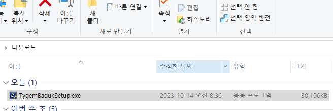 타이젬 바둑 설치 ( TYGEM ) 방법 노하우