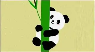 나무 위에 있는 곰을 본꿈