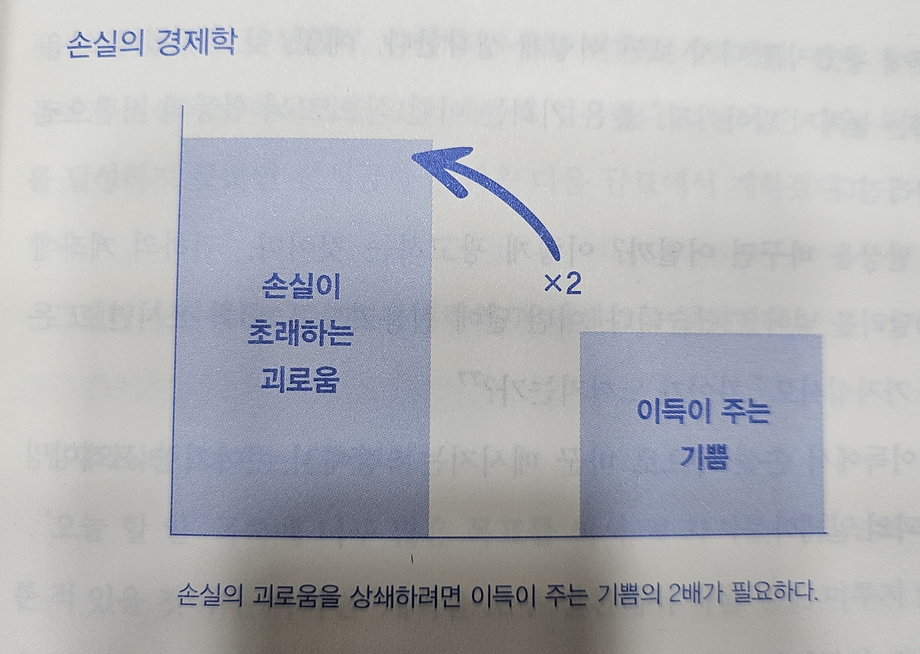 손실의 경제학