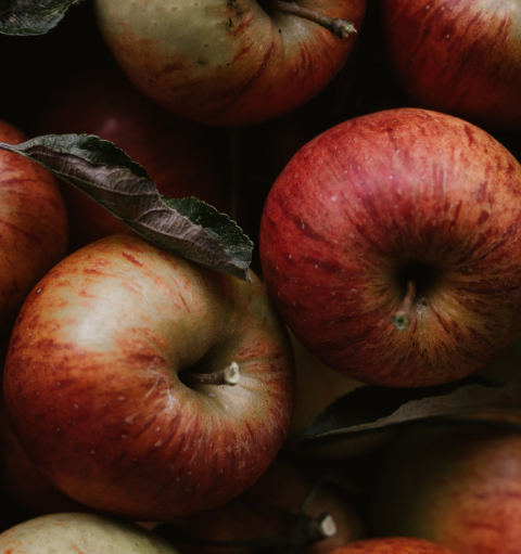 사과의 효능과 부작용 권장량