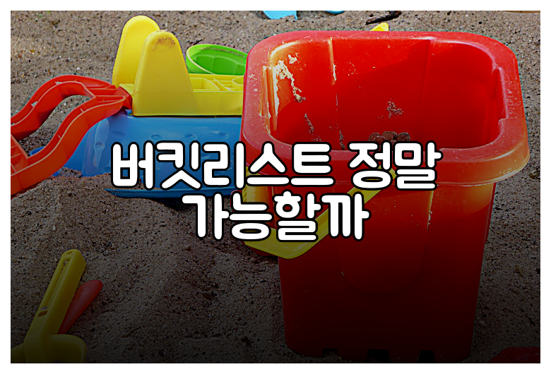 버킷리스트 정말 가능할까