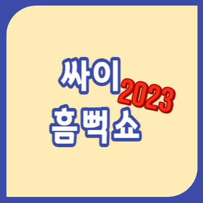 싸이 흠뻑쇼 2023 가격