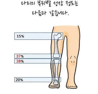 성장판 닫혀도 키 클 수 있는 방법과 성장 호르몬 시기_12