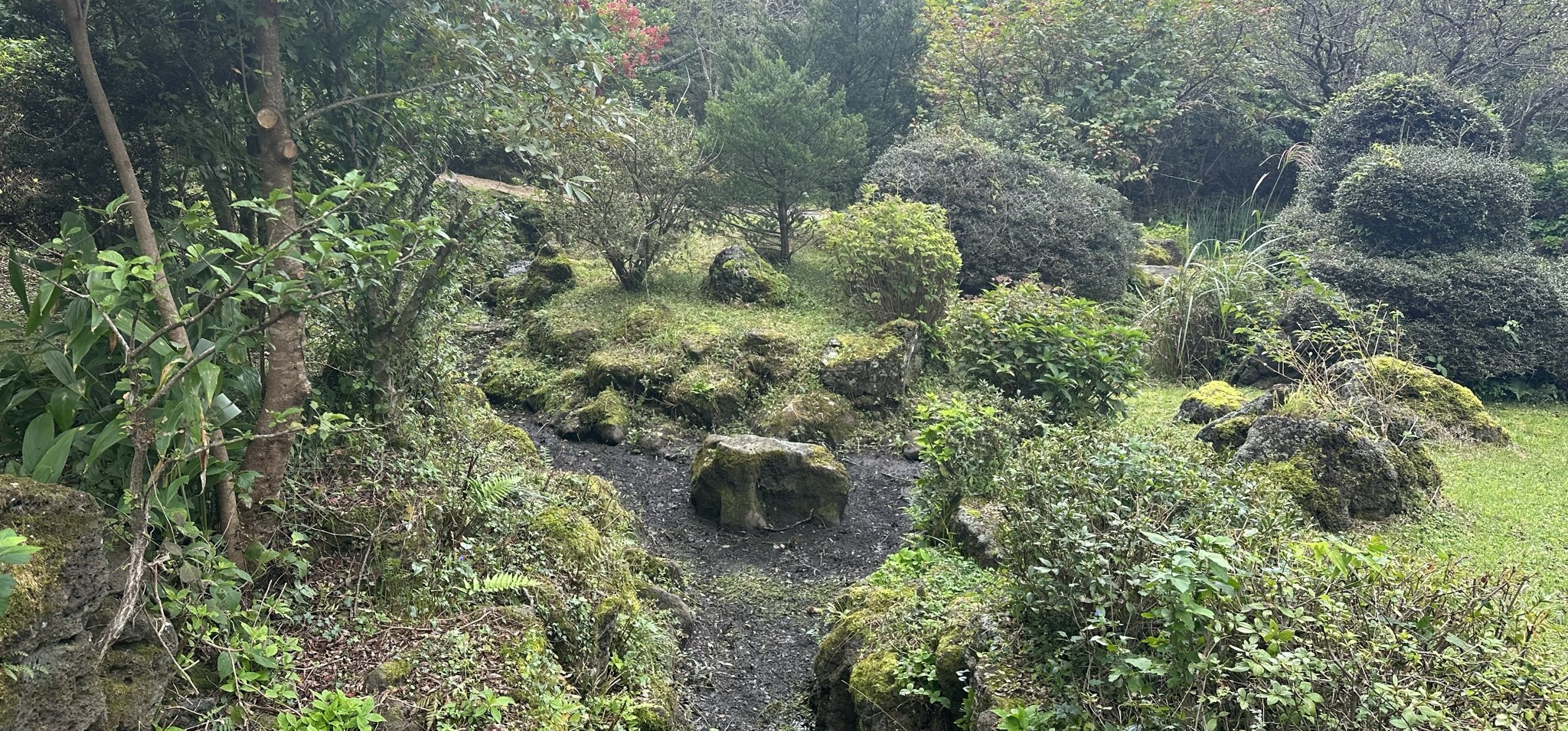 한라생태숲 암석원