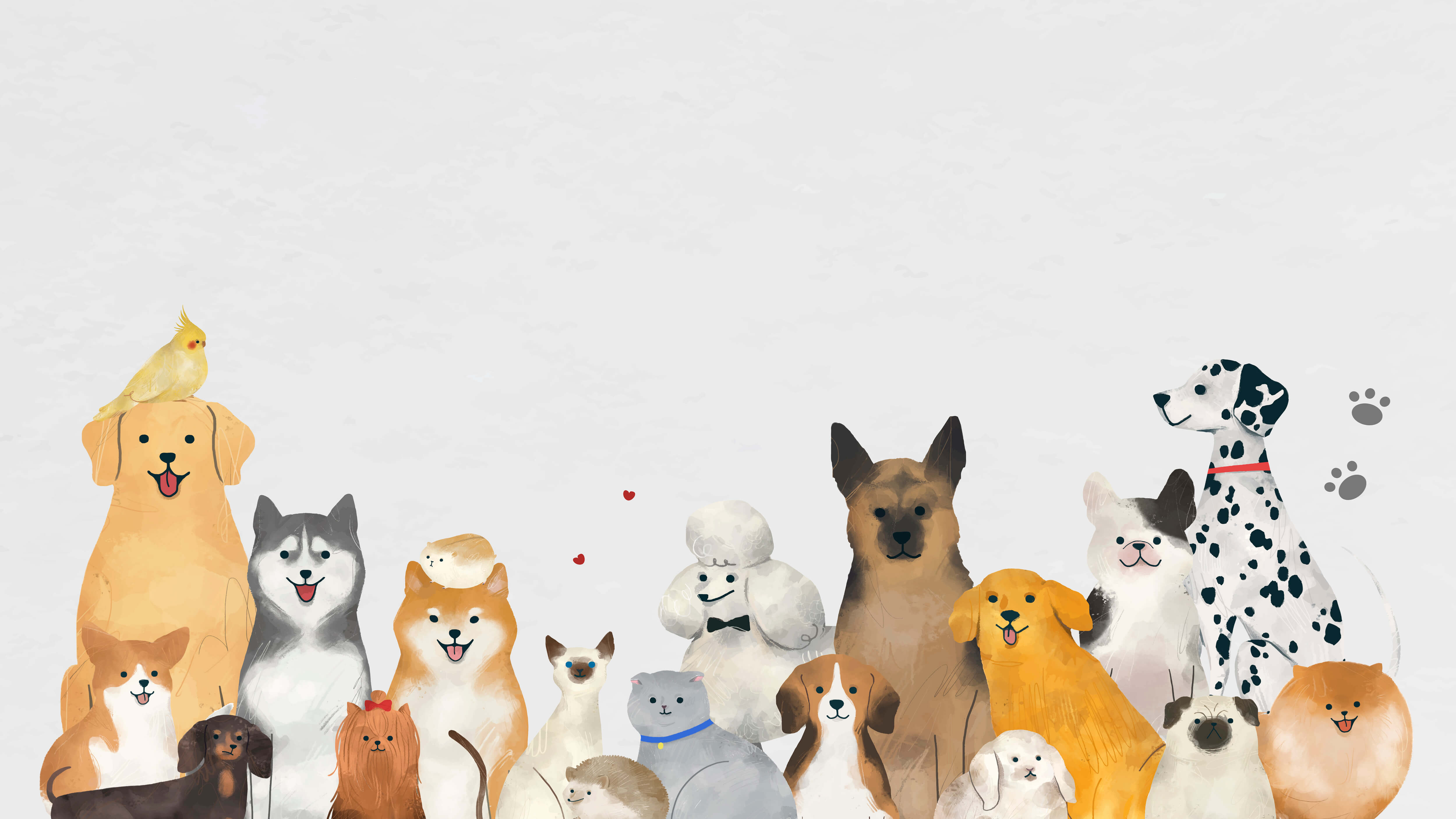 반려동물 음식 알레르기