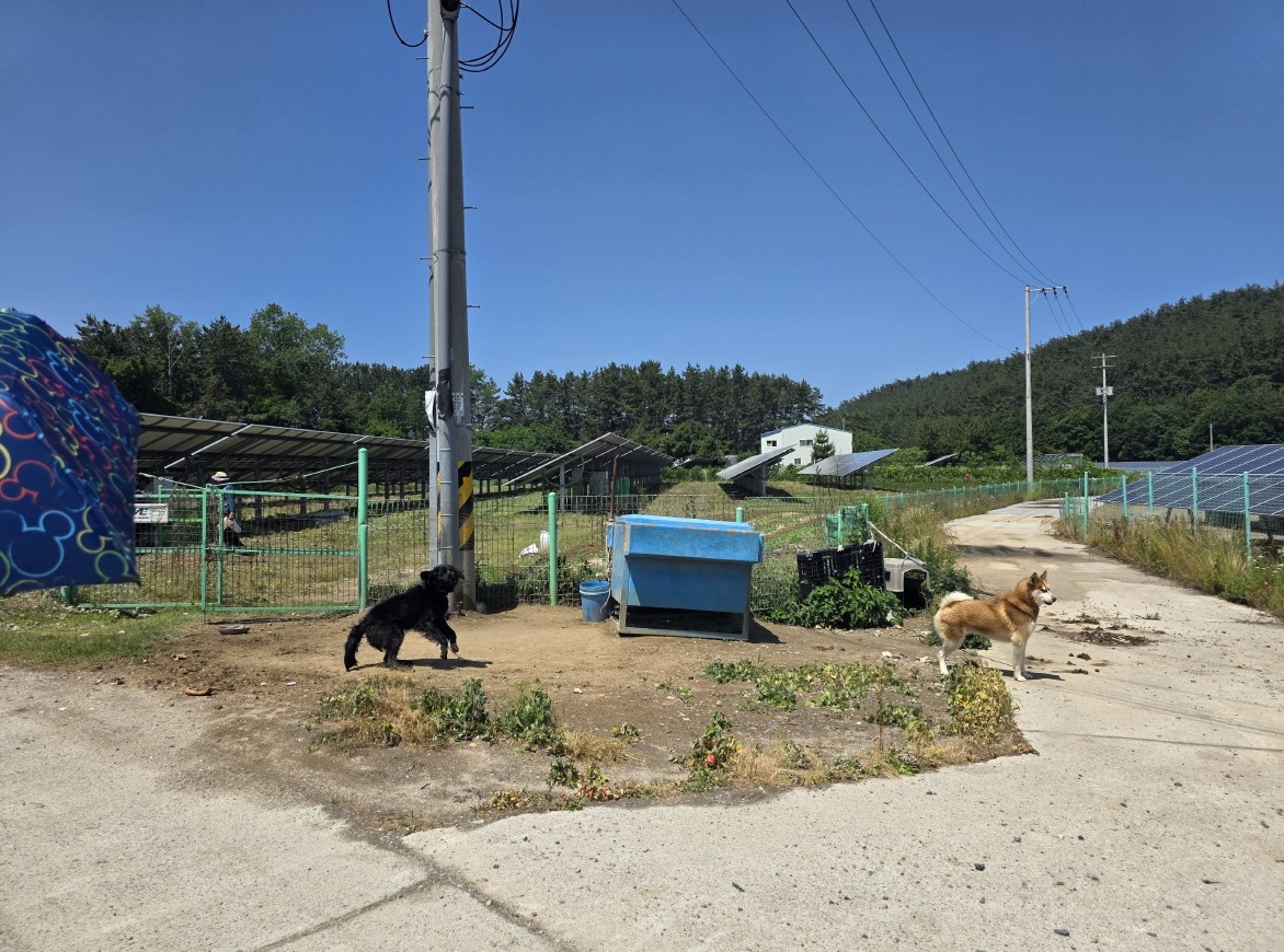 “꾸지나무골해변에서 학암포까지”