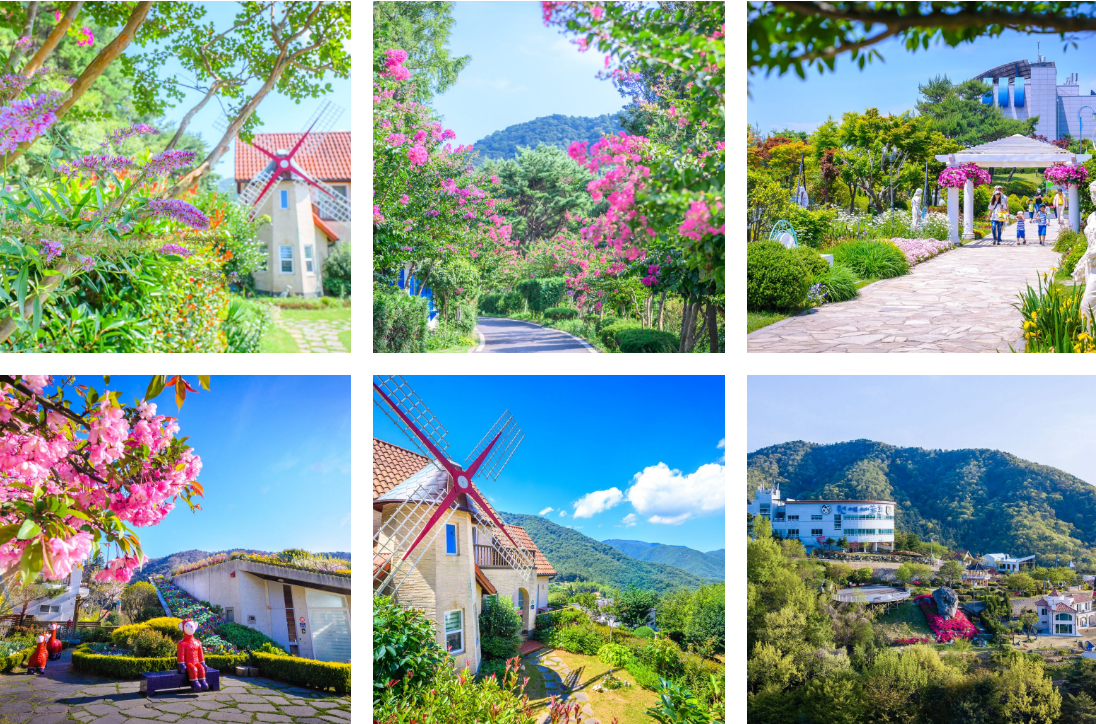 원예예술촌 정원 내 사진들