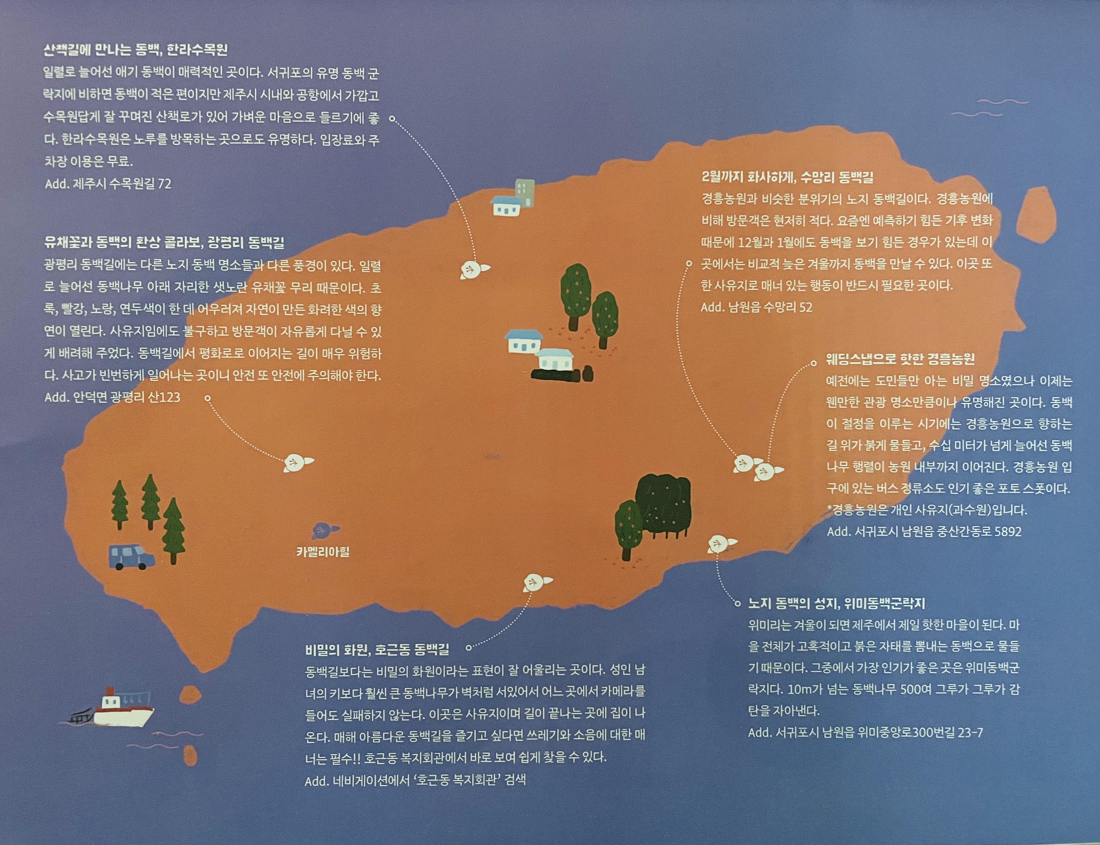 제주동백