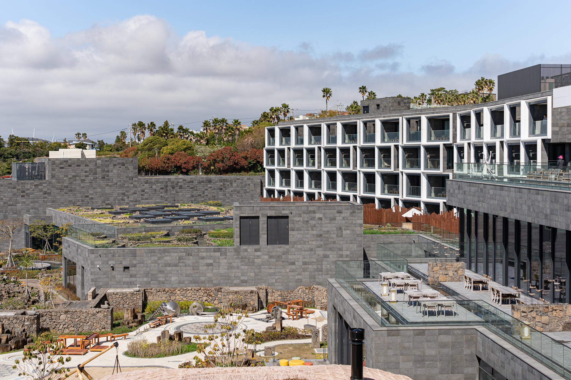 #JW가든 #JW메리어트제주 #댄싱두루미 #더플라잉호그 #아일랜드키친 #유채꽃 #제주사진 #제주여행 #제주유채꽃 #제주호텔