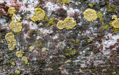 중고차 침수차 구별법