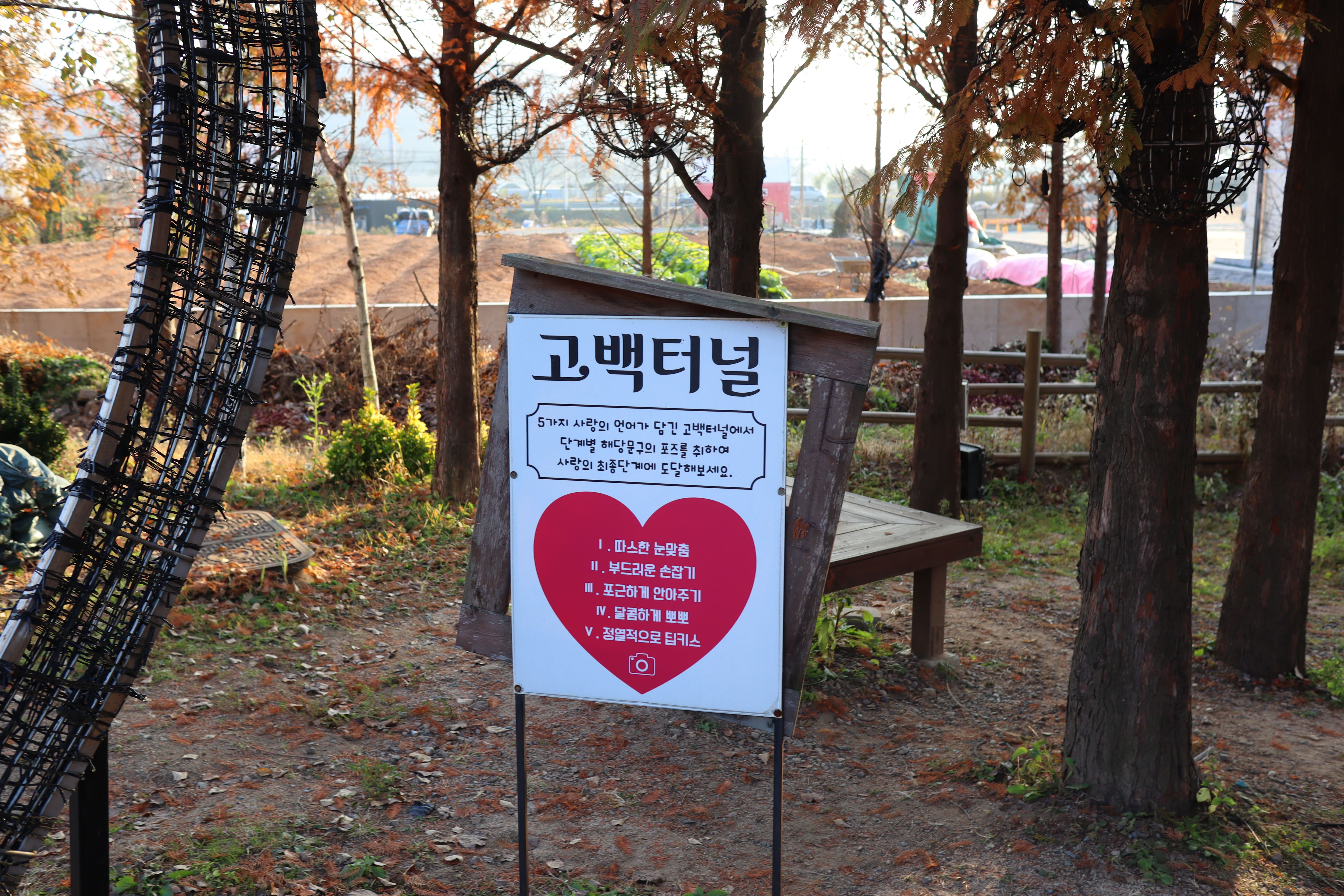 파주-프로방스-고백터널