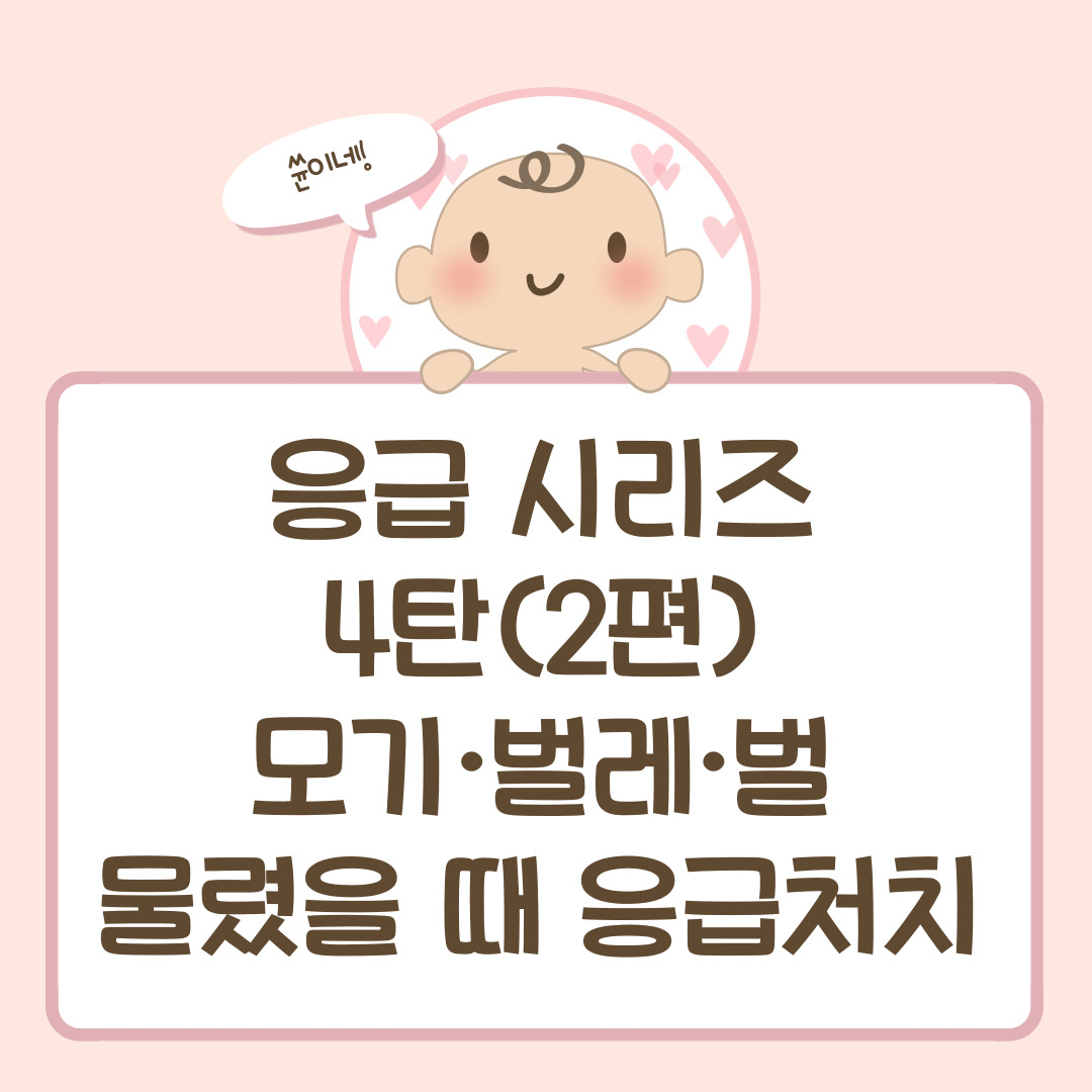 응급 시리즈 4탄(2편) — 모기·벌레·벌에 물렸을 때 응급처치