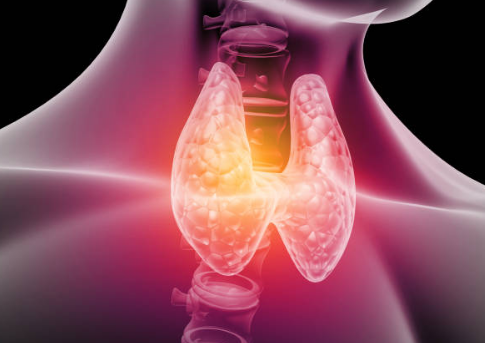 갑상선 기능 항진증 증상, 수치, 검사 총정리 (2024ver)