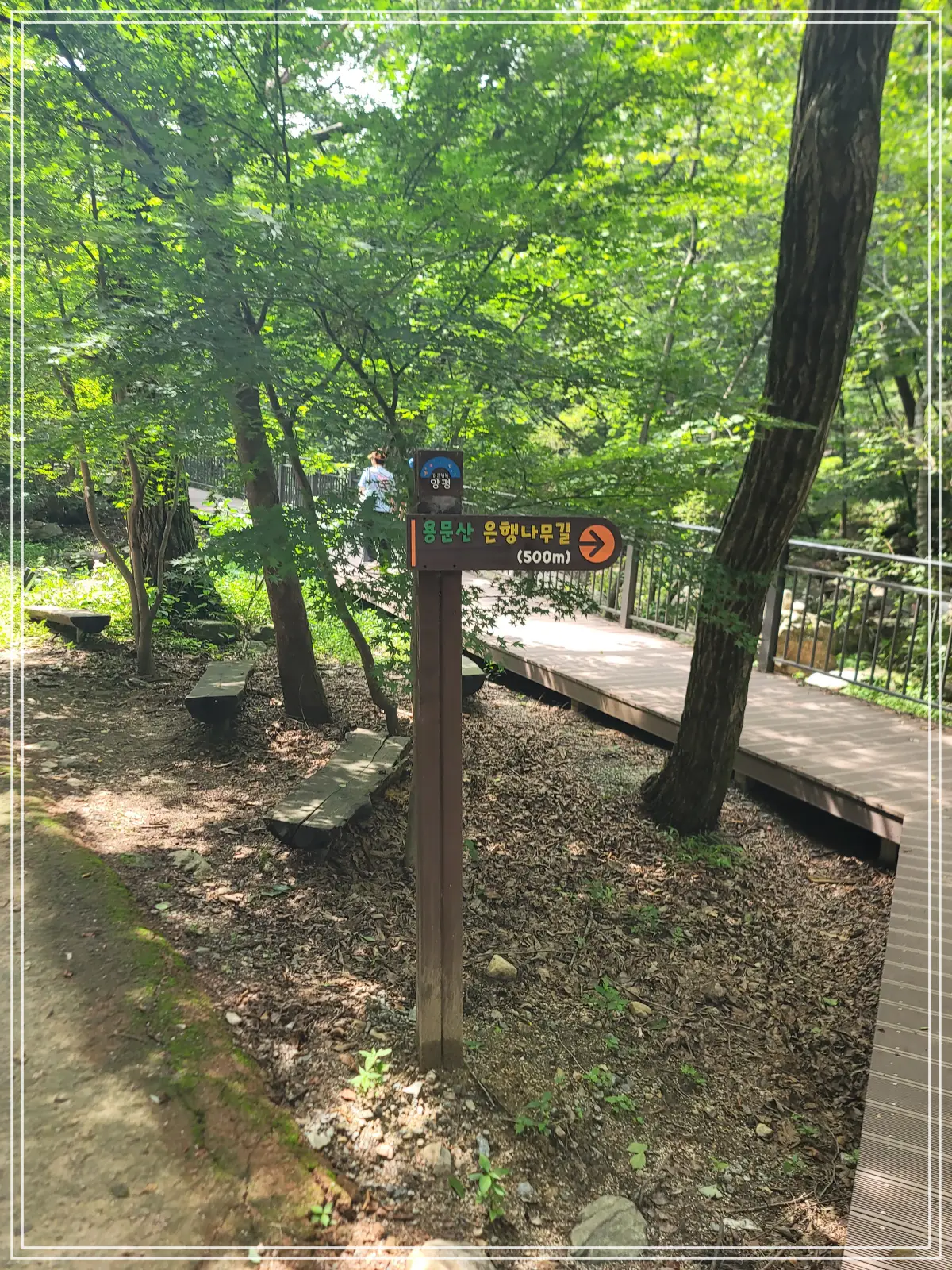 용문사-20250808_134917