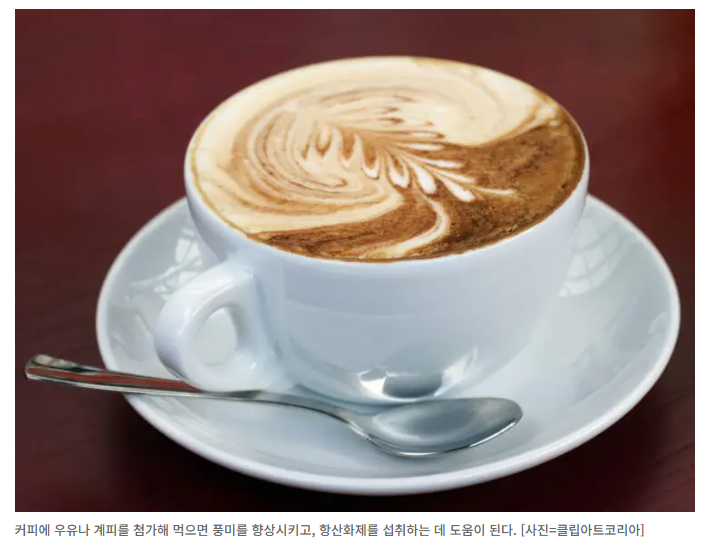 단백질커피