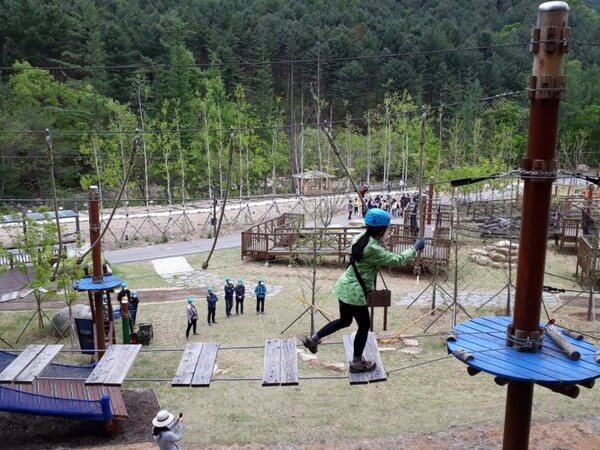 체험프로그램이 다양한 숲체원