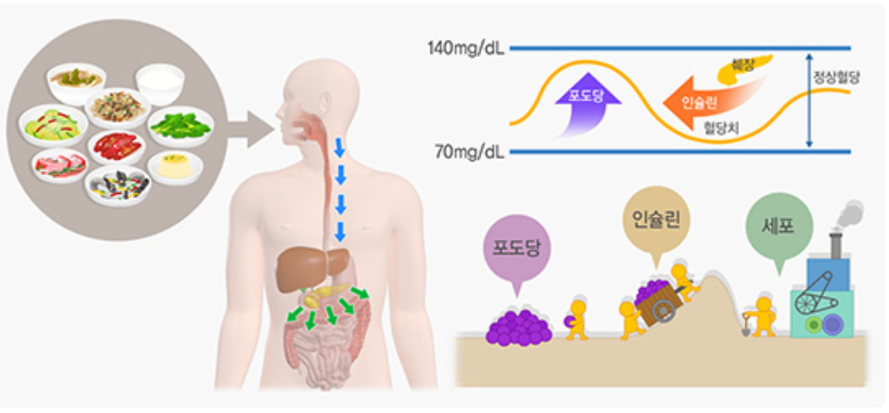 당뇨 관련사진