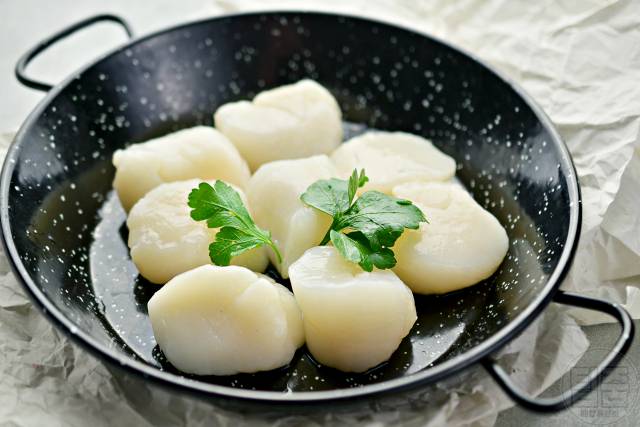 근감소증 좋은 음식 근육 만드는 음식 가리비 단백질 함량