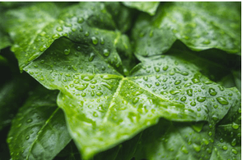 실시간 침수우려지역 확인 방법