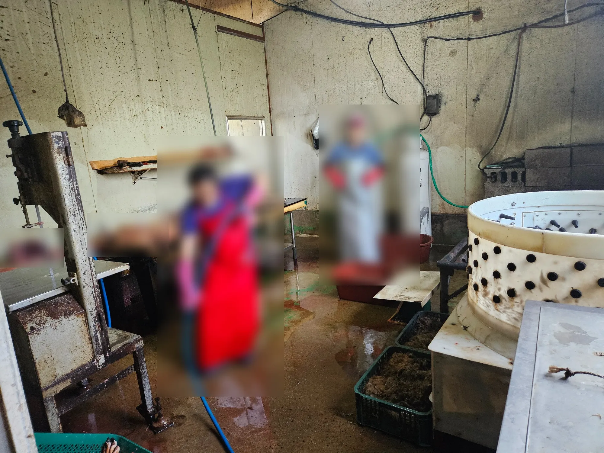 화성 개 전기 쇠꼬챙이