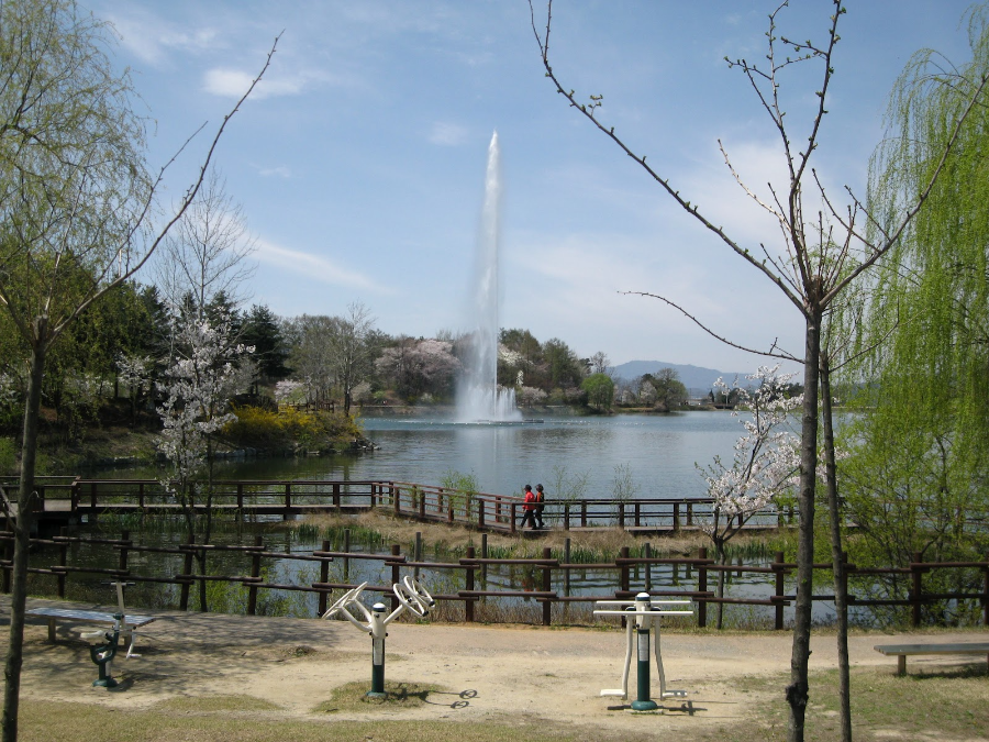 충주 가볼만한 곳