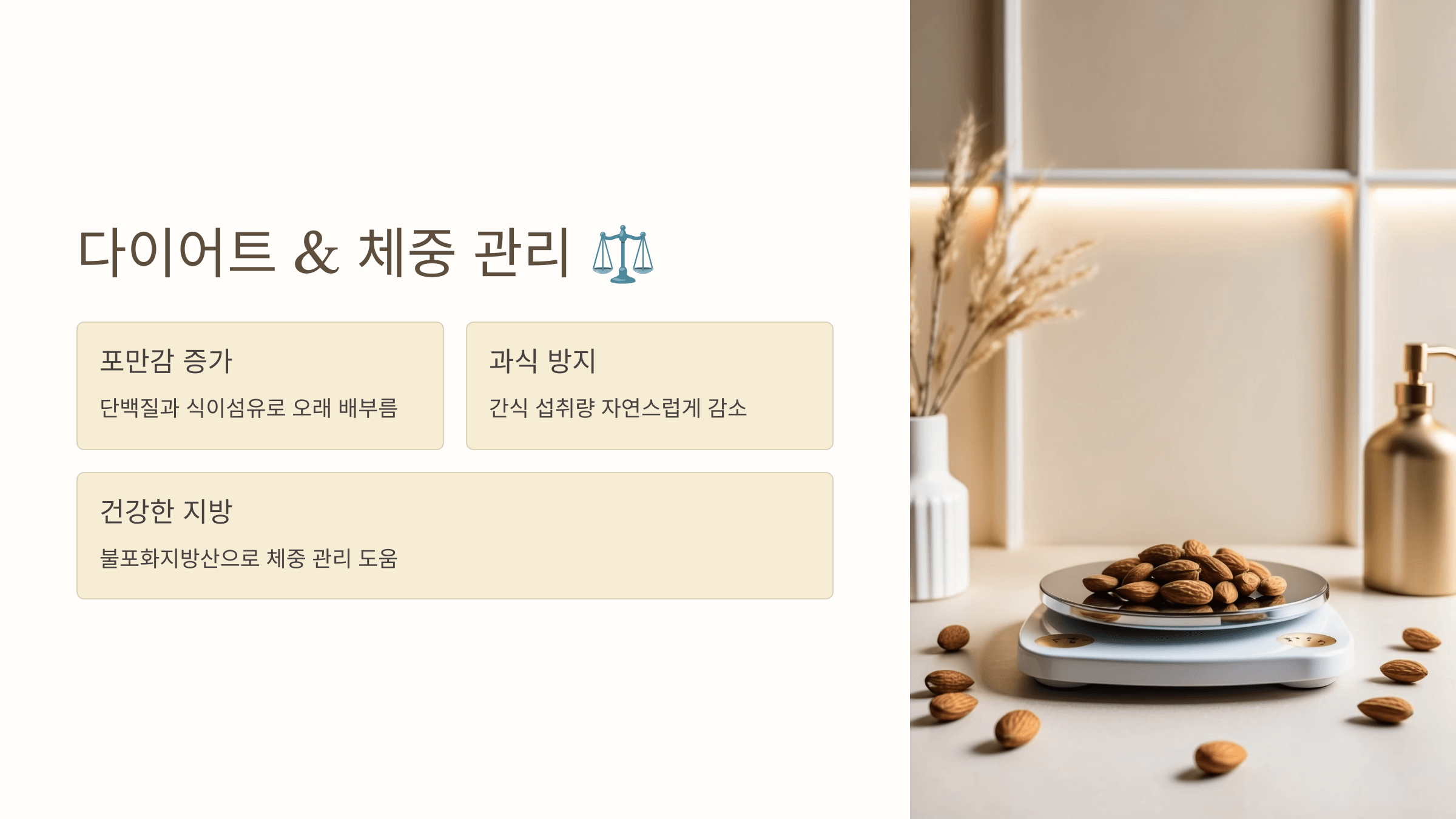 아몬드 사진입니다.