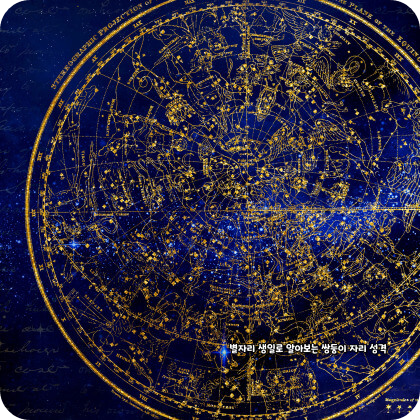생일 별자리로 알아보는 쌍둥이자리 성격