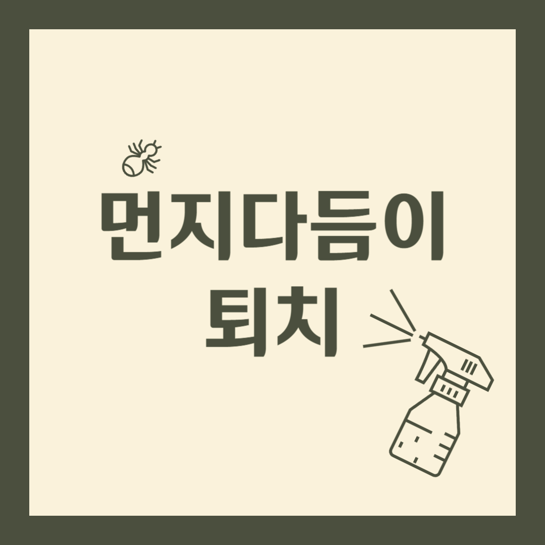 먼지다듬이 퇴치