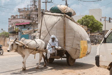 인도 여행 비자, 준비물, 생수, 주의사항 알아보기