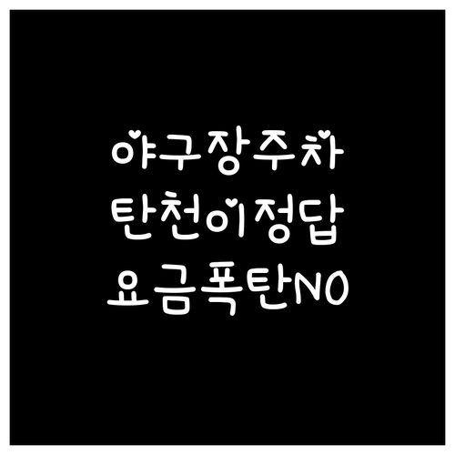 잠실야구장 주차 걱정 없는 탄천 주차..