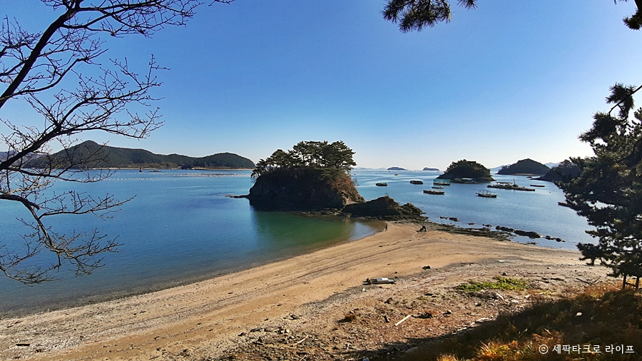 경남고성솔섬