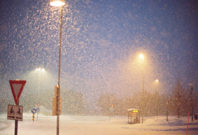 습설 건설 차이점과 폭설 피해 예방 필수 상식