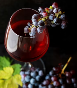 포도 효능 부작용