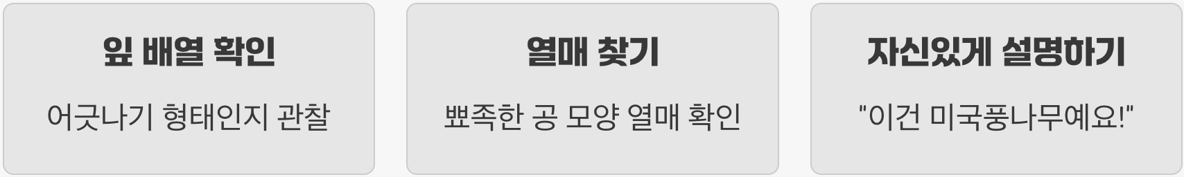 이제 당신도 가을의 나무 박사