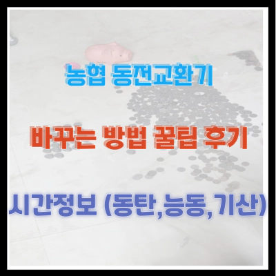 농협 동전교환기 바꾸는 방법 꿀팁 후기 시간 정보 (동탄&#44;능동 기산)