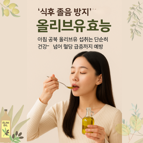 올리브유 효능