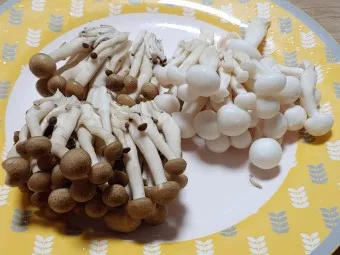 만가닥버섯 효능_15