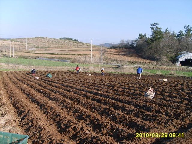 공익직불금 신청