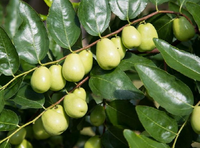 보은 가볼만한곳 베스트10