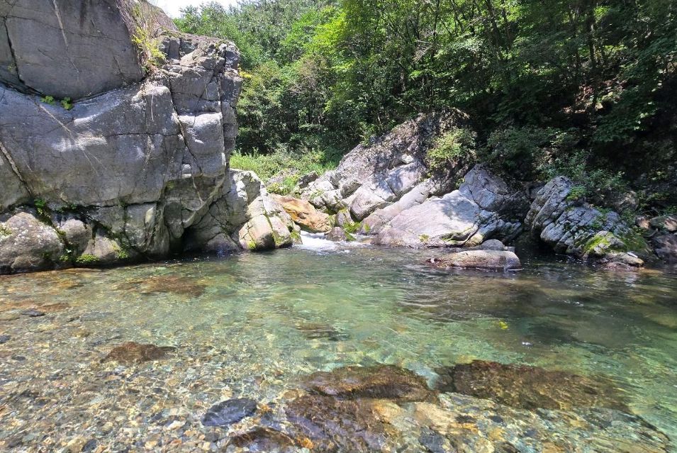 가리왕산자연휴양림