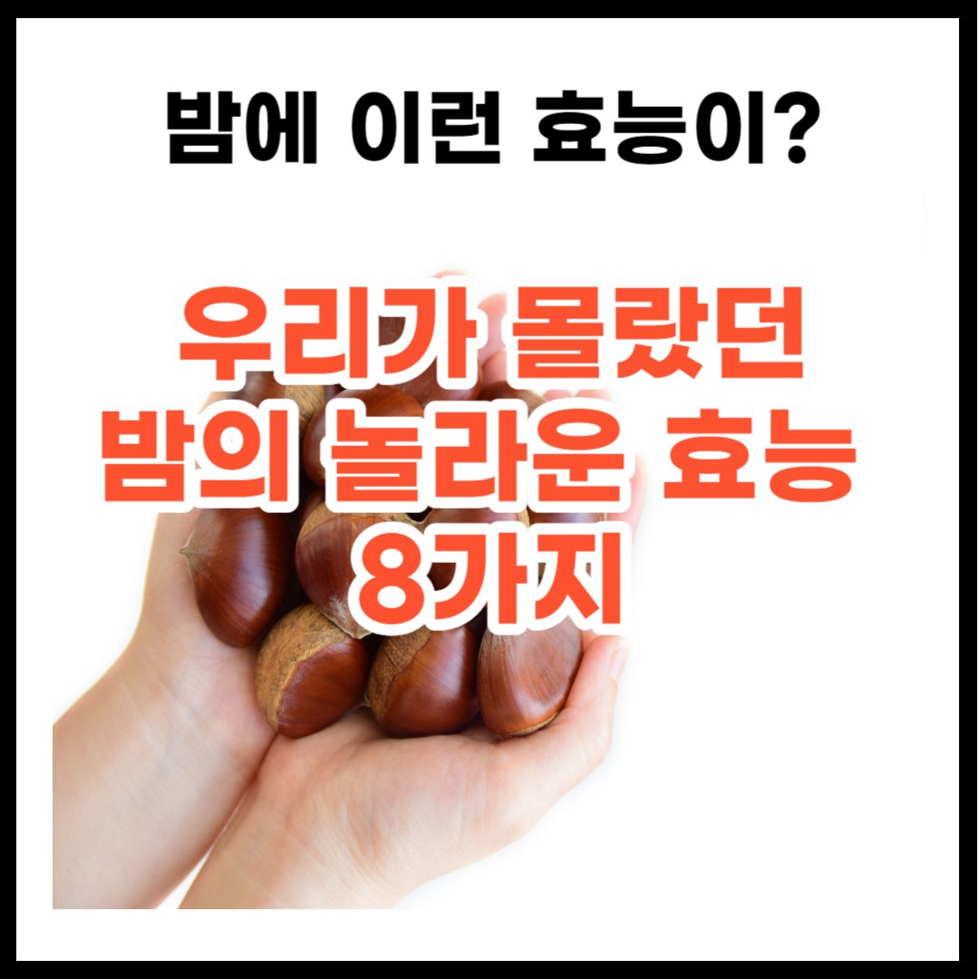 밤 효능 8가지