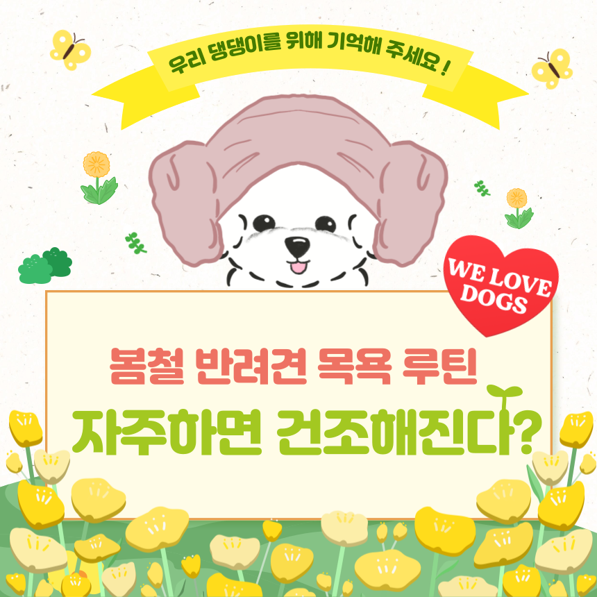 봄철 반려견 목욕
